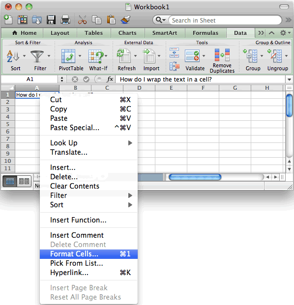 excel for mac software